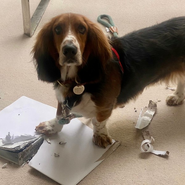 "What, Mum?"