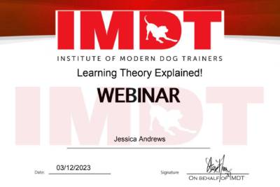 Training & Behaviour